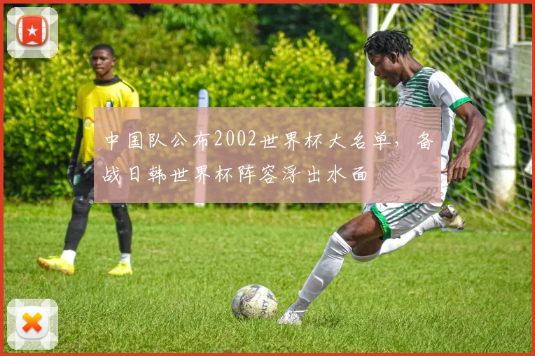 中国队公布2002世界杯大名单，备战日韩世界杯阵容浮出水面