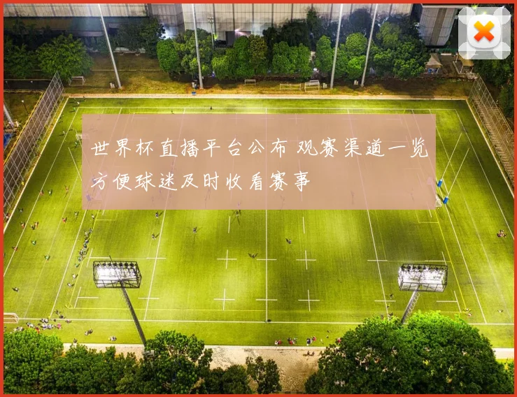 世界杯直播平台公布 观赛渠道一览方便球迷及时收看赛事