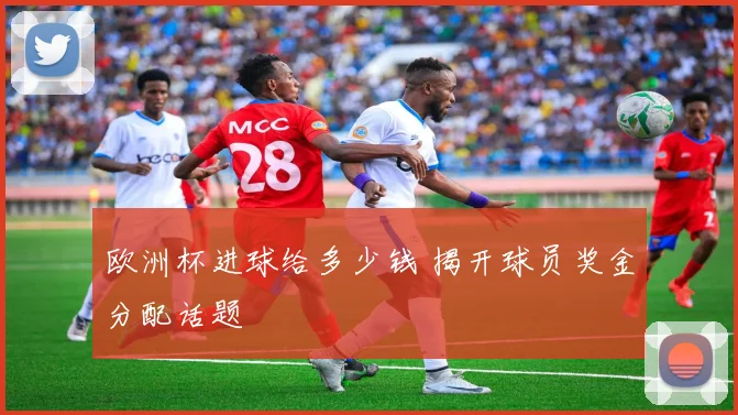欧洲杯进球给多少钱 揭开球员奖金分配话题